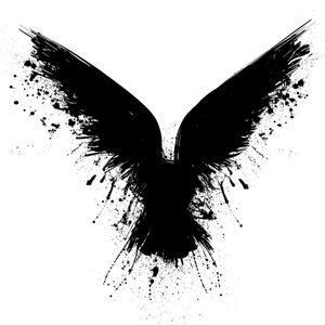 Meet your Posher, Raven